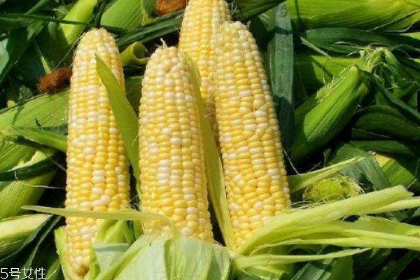 玉米須可以長(zhǎng)期喝嗎 可以長(zhǎng)期食用 玉米須可以長(zhǎng)期喝嗎 可以長(zhǎng)期食用