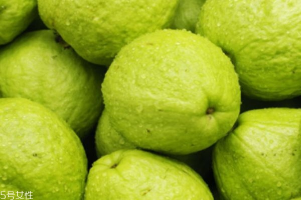 芭樂的皮能吃嗎 芭樂怎么分辨是否成熟 芭樂的皮能吃嗎 芭樂怎么分辨是否成熟