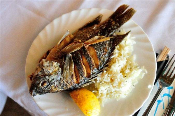 羅非魚(yú)為什么那么便宜 產(chǎn)量較多 羅非魚(yú)為什么那么便宜 產(chǎn)量較多