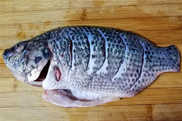 羅非魚(yú)怎么釣 釣羅非魚(yú)的餌料 羅非魚(yú)怎么釣 釣羅非魚(yú)的餌料