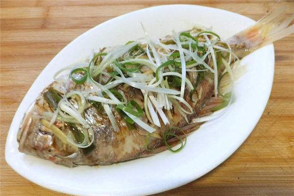 加吉魚(yú)是海魚(yú)嗎 加吉魚(yú)的種類(lèi) 加吉魚(yú)是海魚(yú)嗎 加吉魚(yú)的種類(lèi)