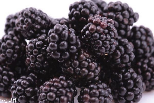 桑葚干泡水喝的功效 桑葚泡水喝的禁忌 桑葚干泡水喝的功效 桑葚泡水喝的禁忌