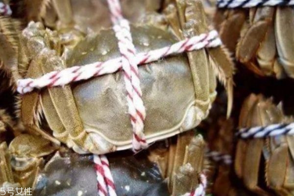 怎么分辨大閘蟹死活 4個(gè)方法教你分辨 怎么分辨大閘蟹死活 4個(gè)方法教你分辨