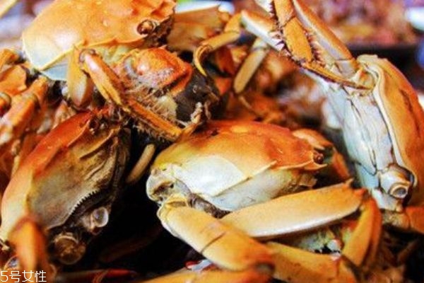 螃蟹怎么放不會死掉 活螃蟹能放冰箱嗎 螃蟹怎么放不會死掉 活螃蟹能放冰箱嗎