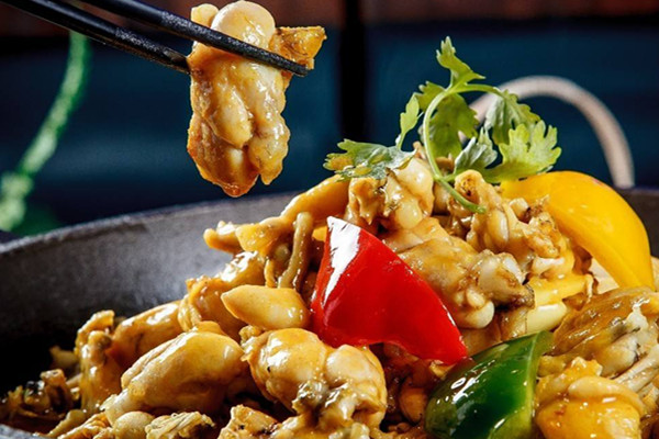 牛蛙有毒嗎 牛蛙好處 牛蛙有毒嗎 牛蛙好處