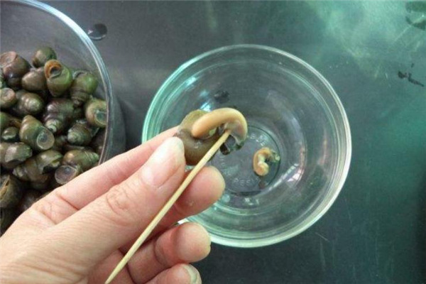 石螺的做法 石螺怎么炒好吃 石螺的做法 石螺怎么炒好吃