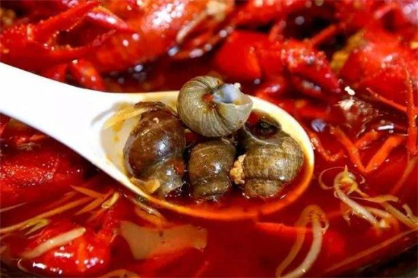 石螺和田螺的區(qū)別 這樣來(lái)區(qū)分 石螺和田螺的區(qū)別 這樣來(lái)區(qū)分