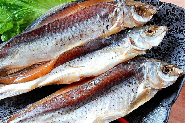 鯪魚(yú)是什么魚(yú) 鯪魚(yú)是海魚(yú)還是淡水魚(yú) 鯪魚(yú)是什么魚(yú) 鯪魚(yú)是海魚(yú)還是淡水魚(yú)