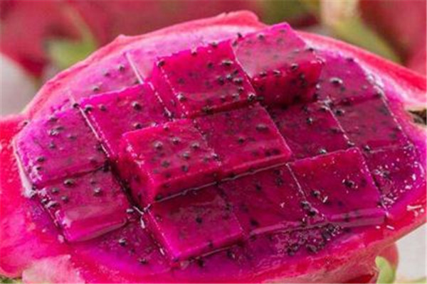 火龍果可以經(jīng)常吃嗎 火龍果吃法 火龍果可以經(jīng)常吃嗎 火龍果吃法