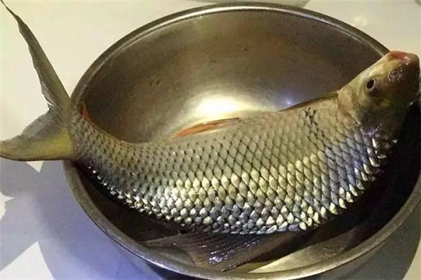 鯪魚(yú)皮怎么剝 鯪魚(yú)脫骨步驟詳解 鯪魚(yú)皮怎么剝 鯪魚(yú)脫骨步驟詳解