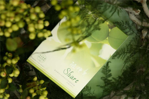 隨便果真的能減肥嗎 隨便果有效果嗎 隨便果真的能減肥嗎 隨便果有效果嗎