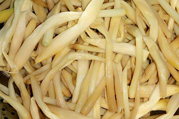 黃花菜可以和雞蛋一起吃嗎 黃花菜和雞蛋一起吃好處 黃花菜可以和雞蛋一起吃嗎 黃花菜和雞蛋一起吃好處