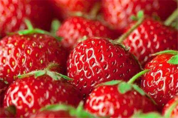 草莓可以多吃嗎 草莓的好處 草莓可以多吃嗎 草莓的好處
