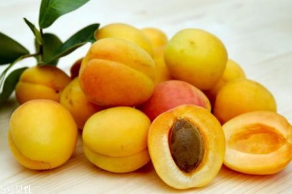 杏子吃多了會拉肚子嗎 杏子要吃成熟的 杏子吃多了會拉肚子嗎 杏子要吃成熟的