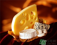 芝士的營(yíng)養(yǎng)價(jià)值 芝士的功效與作用 芝士的營(yíng)養(yǎng)價(jià)值 芝士的功效與作用