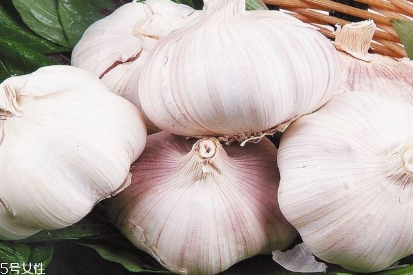 什么人不能吃大蒜 吃大蒜的禁忌 什么人不能吃大蒜 吃大蒜的禁忌