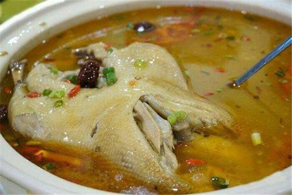 老鴨湯的功效與作用 老鴨湯好嗎 老鴨湯的功效與作用 老鴨湯好嗎