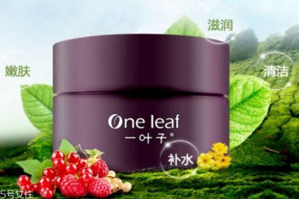 一葉子清潔泥膜怎么樣 一葉子清潔面膜怎么用 一葉子清潔泥膜怎么樣 一葉子清潔面膜怎么用