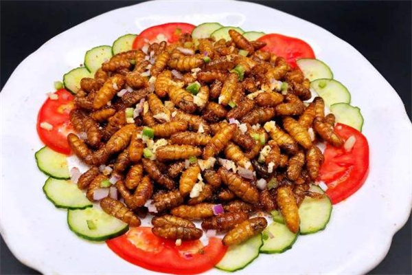 吃蠶蛹會(huì)上火嗎 吃蠶蛹注意事項(xiàng) 吃蠶蛹會(huì)上火嗎 吃蠶蛹注意事項(xiàng)