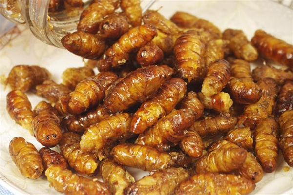 蠶蛹里面的黑東西能吃嗎 蠶蛹的黑芯 蠶蛹里面的黑東西能吃嗎 蠶蛹的黑芯