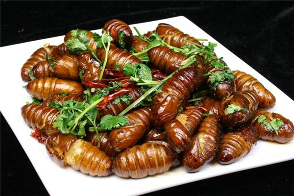 吃蠶蛹會(huì)長(zhǎng)胖嗎 蠶蛹熱量 吃蠶蛹會(huì)長(zhǎng)胖嗎 蠶蛹熱量