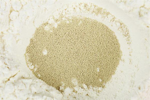 酵母粉多少錢(qián)一袋 一斤酵母粉價(jià)格 酵母粉多少錢(qián)一袋 一斤酵母粉價(jià)格