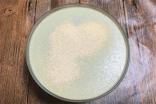 酵母粉多少錢(qián)一袋 一斤酵母粉價(jià)格 酵母粉多少錢(qián)一袋 一斤酵母粉價(jià)格