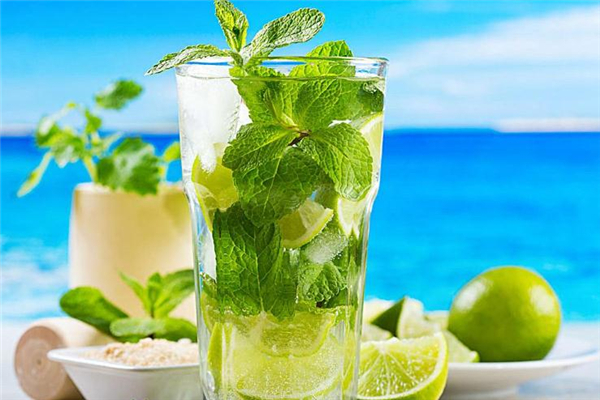 薄荷茶可以減肥嗎 有效分解油膩 薄荷茶可以減肥嗎 有效分解油膩