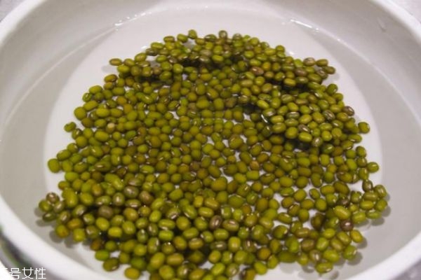 煮綠豆湯放什么糖好 綠豆湯什么時(shí)候放糖最好 煮綠豆湯放什么糖好 綠豆湯什么時(shí)候放糖最好