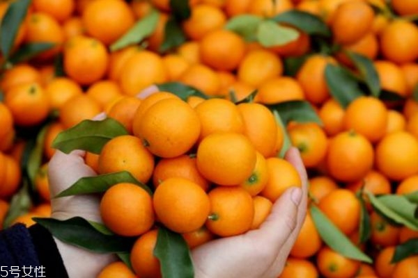 金桔怎么吃最營養(yǎng) 金桔的功效與禁忌 金桔怎么吃最營養(yǎng) 金桔的功效與禁忌