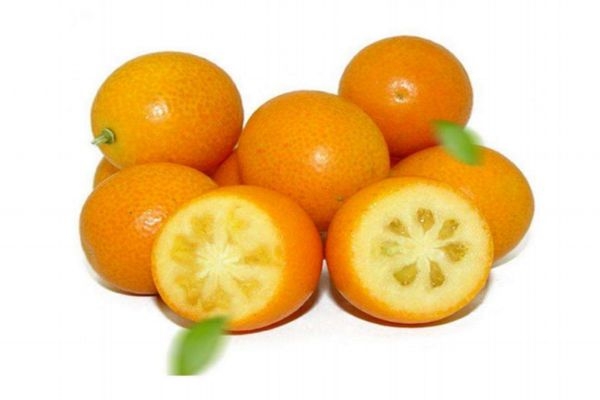 金桔怎么吃最營養(yǎng) 金桔的功效與禁忌 金桔怎么吃最營養(yǎng) 金桔的功效與禁忌