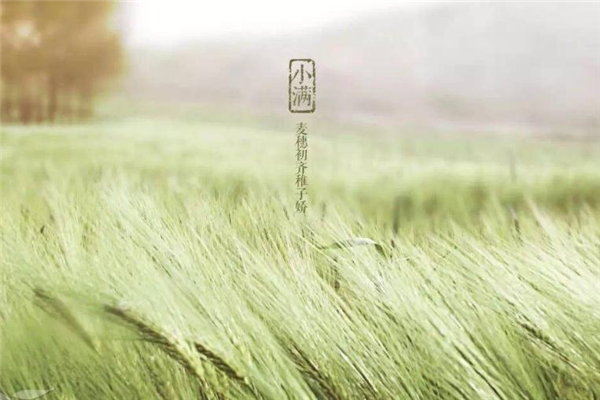 小滿(mǎn)節(jié)氣怎么發(fā)朋友圈 2019小滿(mǎn)祝福語(yǔ)大全