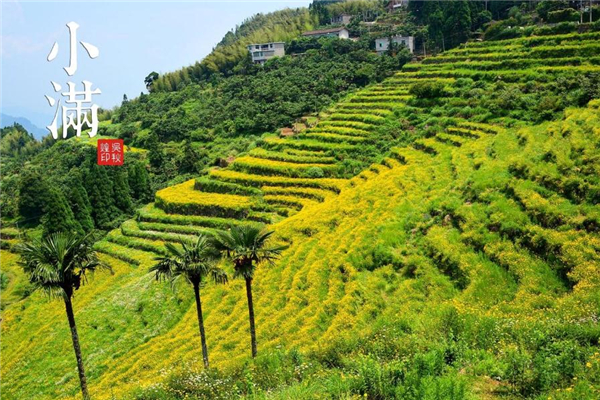 小滿前后種瓜種豆什么意思 種瓜點(diǎn)豆指什么 小滿前后種瓜種豆什么意思 種瓜點(diǎn)豆指什么