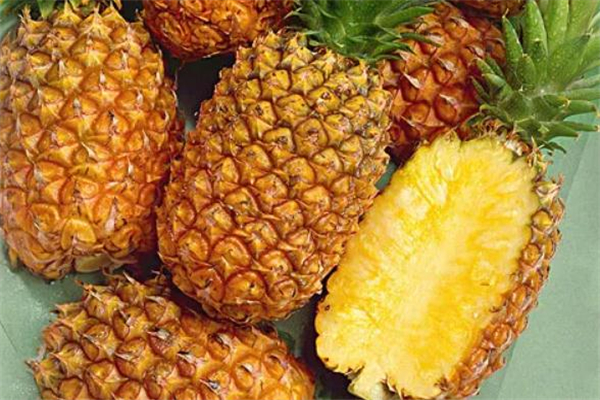 鳳梨青的好還是黃的好 青的鳳梨可以吃嗎 鳳梨青的好還是黃的好 青的鳳梨可以吃嗎