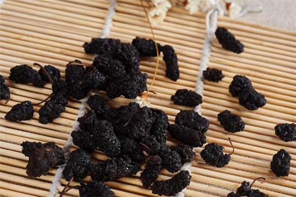 桑葚干泡酒多久能喝 桑葚干泡酒的比例 桑葚干泡酒多久能喝 桑葚干泡酒的比例