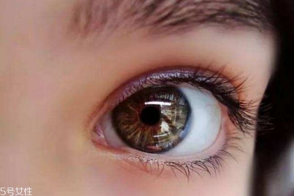 上瞼下垂看什么科 眼瞼下垂掛什么科 上瞼下垂看什么科 眼瞼下垂掛什么科