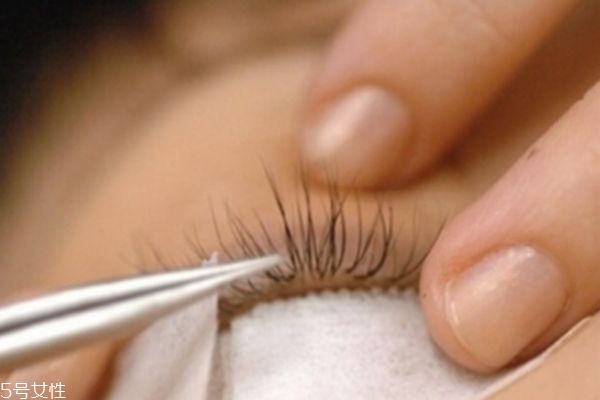 哪些人不適合嫁接睫毛 種植眼睫毛有損害 哪些人不適合嫁接睫毛 種植眼睫毛有損害