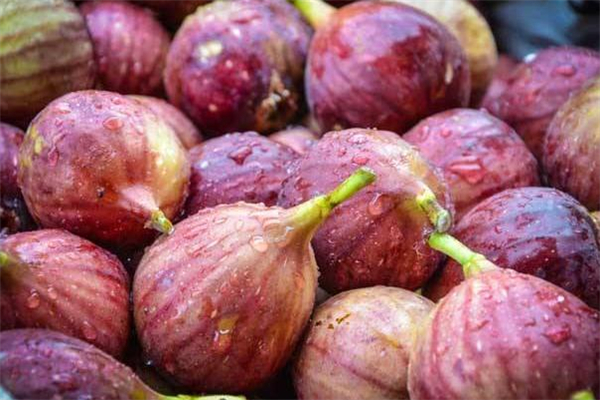 無(wú)花果過(guò)敏是什么癥狀 吃無(wú)花果過(guò)敏了怎么辦