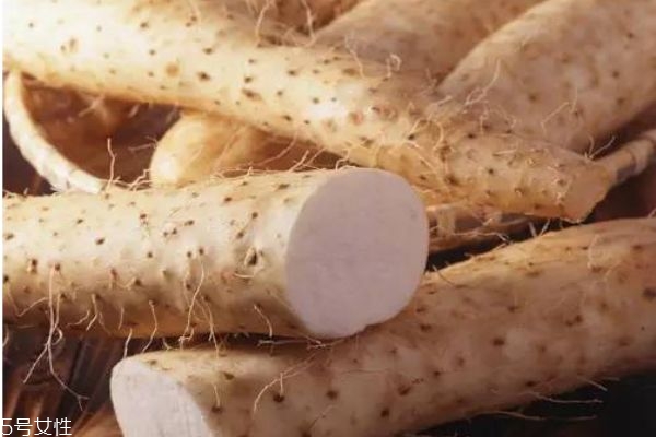 寶寶輔食能吃山藥嗎 寶寶吃山藥的功效 寶寶輔食能吃山藥嗎 寶寶吃山藥的功效