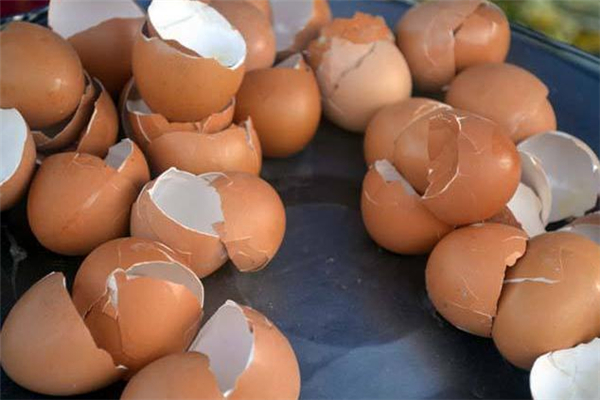 雞蛋殼屬于什么垃圾 雞蛋殼是干垃圾還是濕垃圾 雞蛋殼屬于什么垃圾 雞蛋殼是干垃圾還是濕垃圾