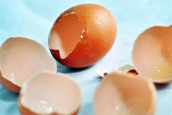 雞蛋殼屬于什么垃圾 雞蛋殼是干垃圾還是濕垃圾 雞蛋殼屬于什么垃圾 雞蛋殼是干垃圾還是濕垃圾