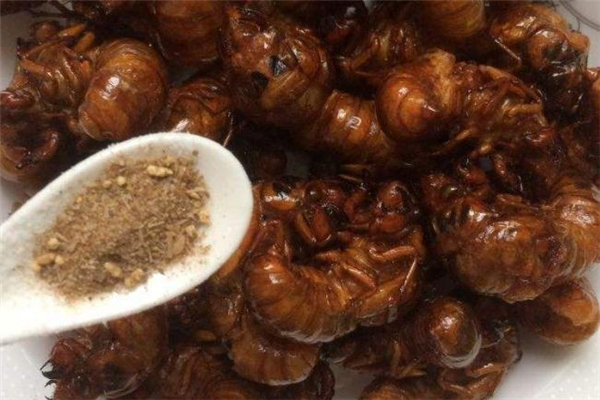 知了猴全身都可以吃嗎 知了猴哪些地方不能吃 知了猴全身都可以吃嗎 知了猴哪些地方不能吃