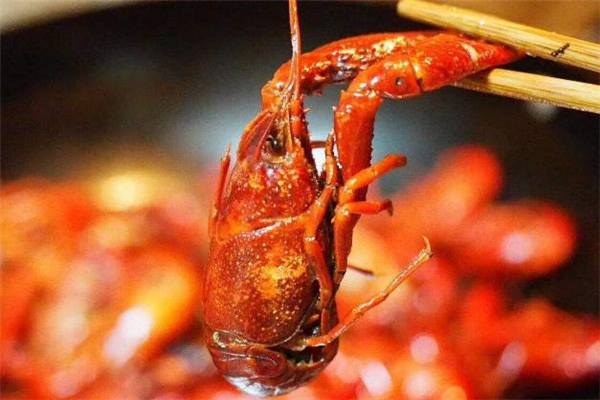 小龍蝦過油好還是過水好 小龍蝦過油要多長時間 小龍蝦過油好還是過水好 小龍蝦過油要多長時間