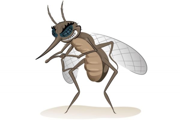 被蚊子咬后為什么會癢 夏季驅(qū)蚊小妙方 被蚊子咬后為什么會癢 夏季驅(qū)蚊小妙方