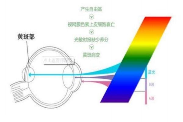 怎么樣預(yù)防近視 手機是否真的危害眼睛 怎么樣預(yù)防近視 手機是否真的危害眼睛