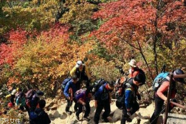 登山老人要注意什么 登山的正確方式 登山老人要注意什么 登山的正確方式