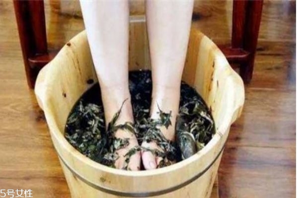 艾草是什么 艾草的好處 艾草是什么 艾草的好處