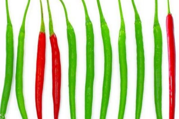 吃辣椒可以減肥嗎 青辣椒和紅辣椒的區(qū)別 吃辣椒可以減肥嗎 青辣椒和紅辣椒的區(qū)別