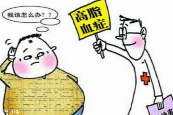 什么是高血脂 高血脂的危害是什么 什么是高血脂 高血脂的危害是什么