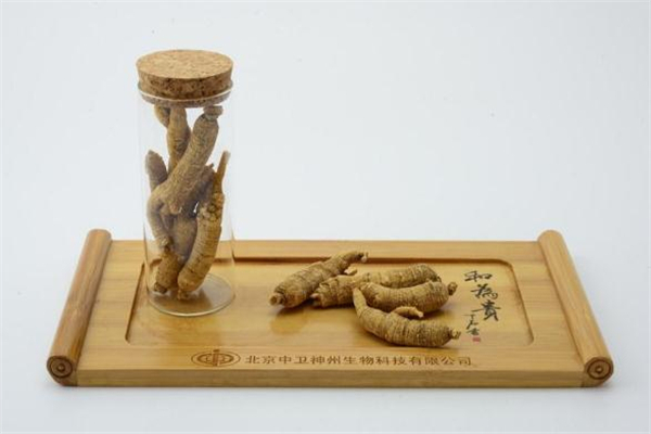 西洋參可以改善記憶力嗎 西洋參泡水喝能增強(qiáng)記憶力嗎 西洋參可以改善記憶力嗎 西洋參泡水喝能增強(qiáng)記憶力嗎